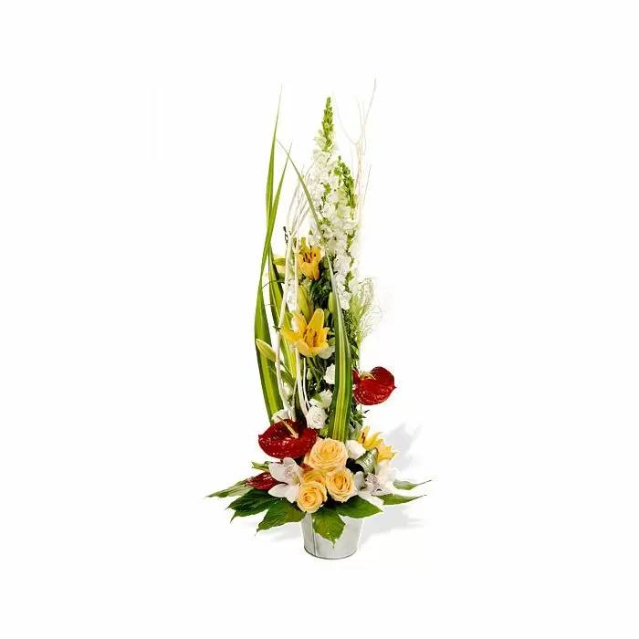 Cuatro estaciones con Orquidea