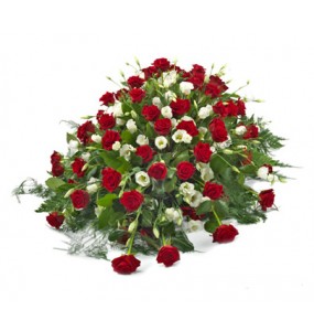 Amor del amortiguador (50 Rosas)