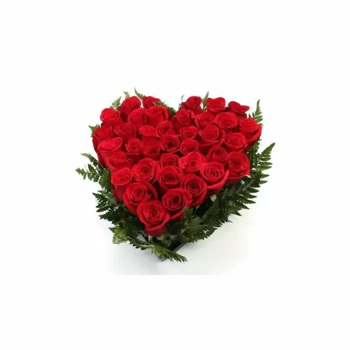 Heart of Roses (24 Roses)
