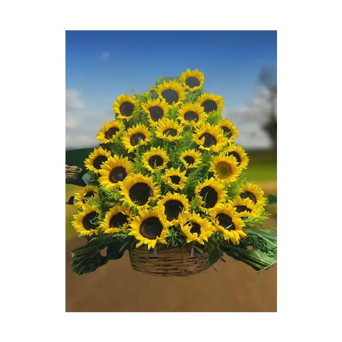 Pirámide de Girasoles