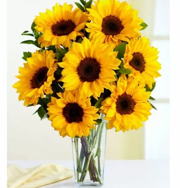 Ramo De Girasol