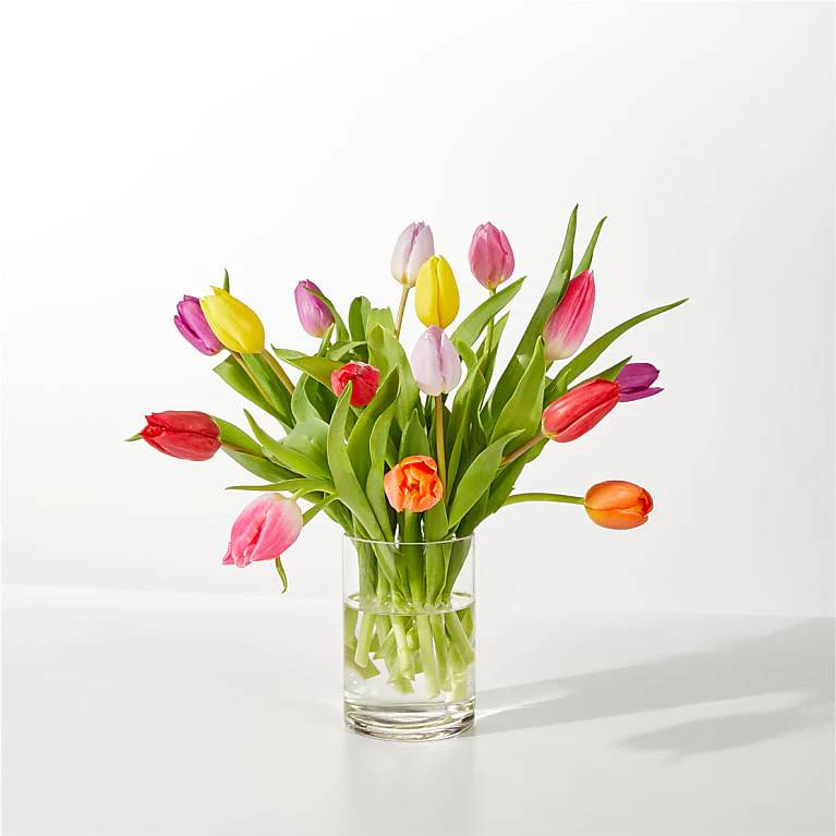 Ramo de tulipanes "Llamada de primavera" (15 tulipanes)