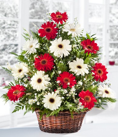 Navidad blanca