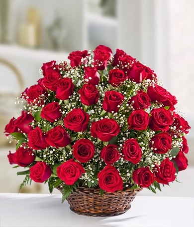 Serenata de rosas