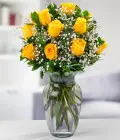 Docena de rosas amarillas