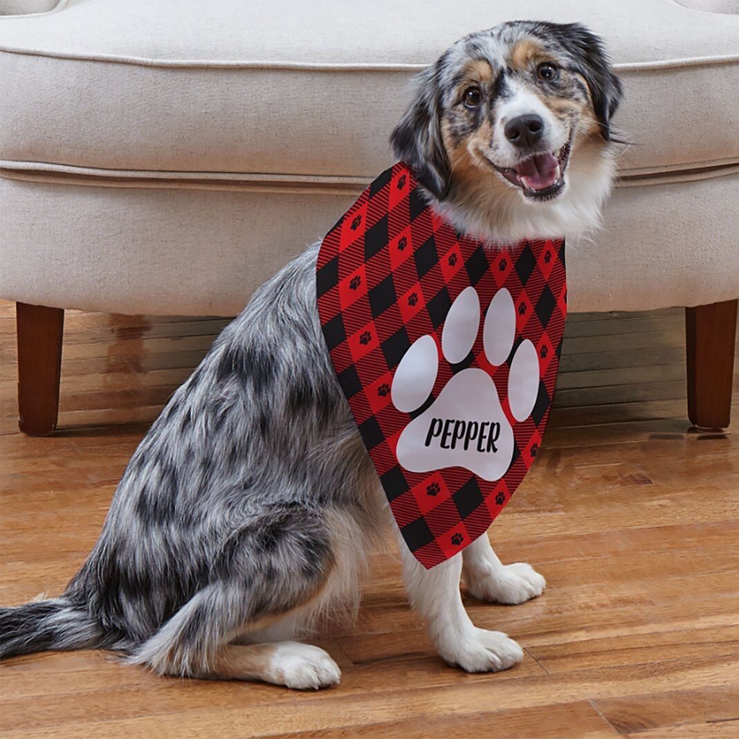 Bandana para mascotas con estampado de huellas de cuadros