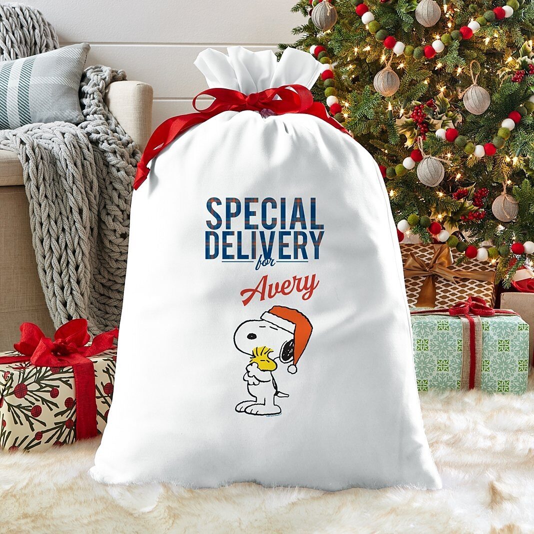 Bolsa de regalo extragrande de Snoopy y Woodstock de PEANUTS® con entrega especial