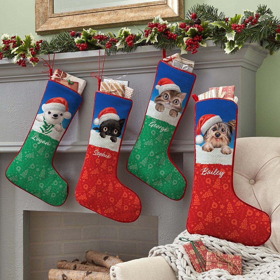 Medias de animales bebés con gorro de Papá Noel del Club Internacional de Animales