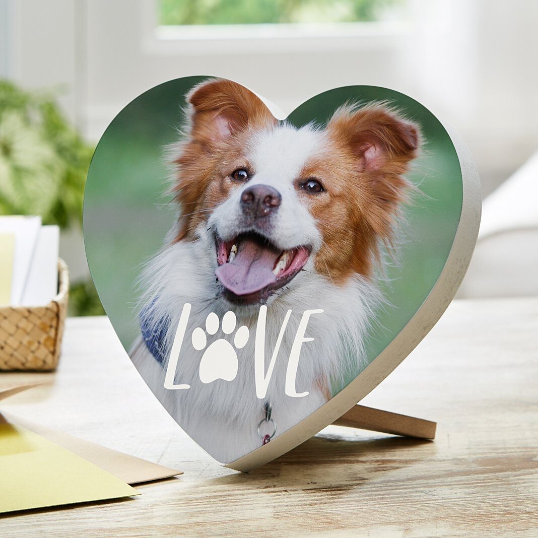 Corazón de madera con foto de amor por las mascotas