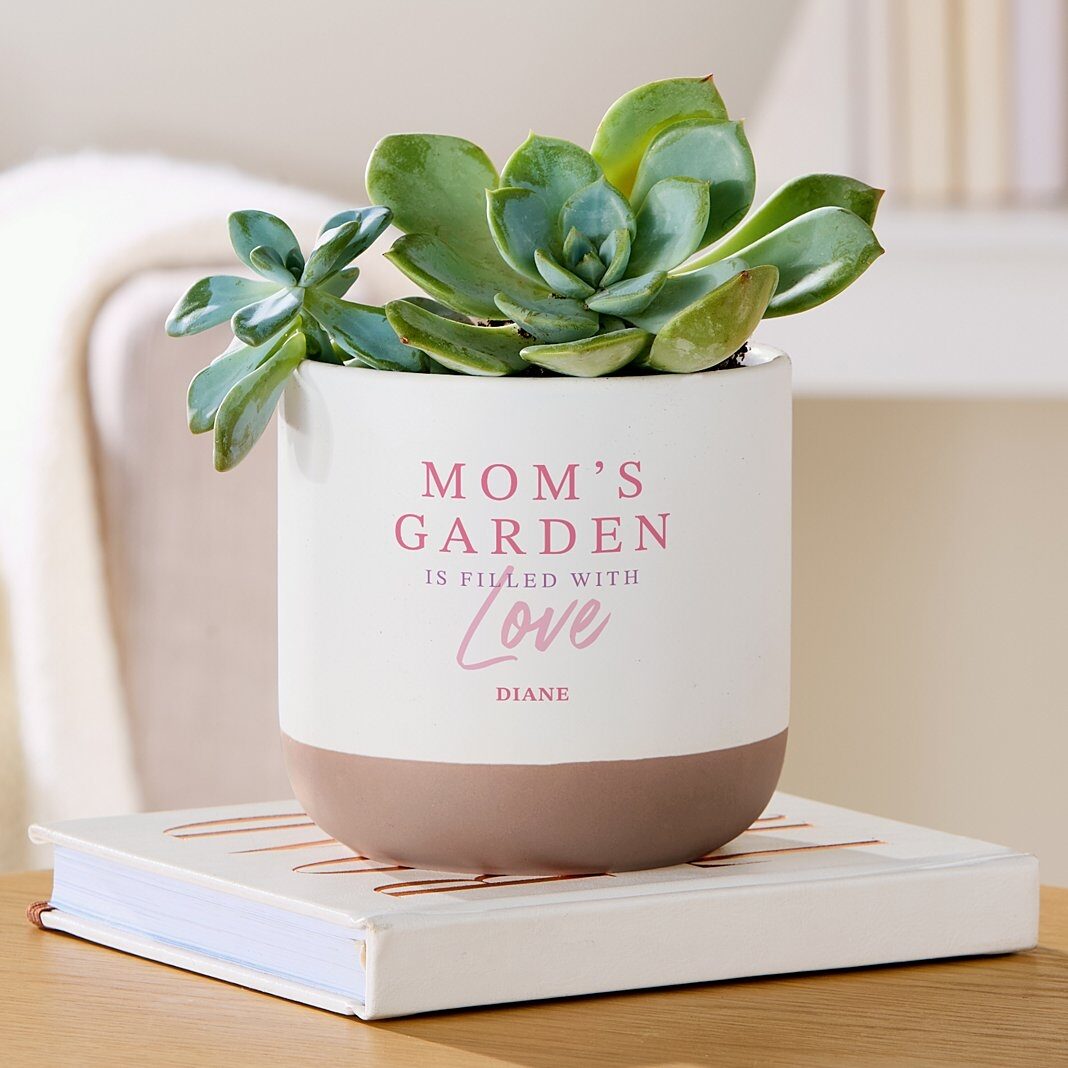 El jardín está lleno de amor. Maceta