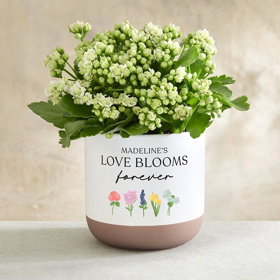 Maceta "El amor florece para siempre"