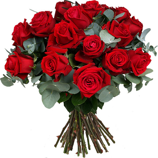 Rosas Premium (Pequeño)