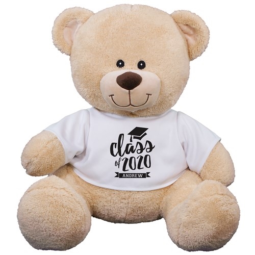 Clase de ositos de peluche (Oso de peluche de 28 cm)