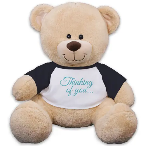 Thinking of You Teddy Bear - 17 Inch (11 inch teddy)