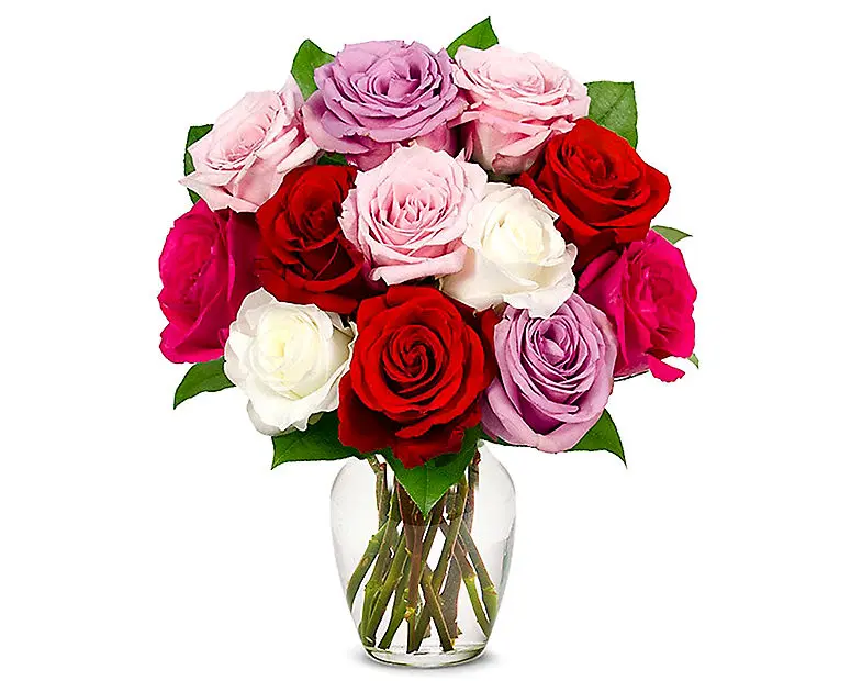 Una docena de rosas clásicas surtidas
