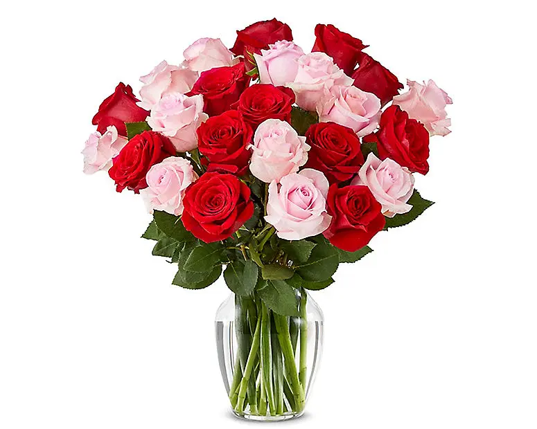 Dos docenas de rosas rojas y rosadas