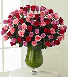 Spring Awakenings (48 Rosas)