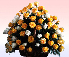 Celebración (48 Rosas)
