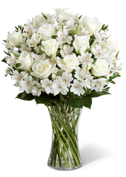 Pureza (12 Rosas + Flores)