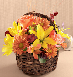 Sorpresa floral (mediana)