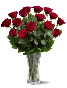 15 rosas, 15 años (15 rosas envueltas en papel)