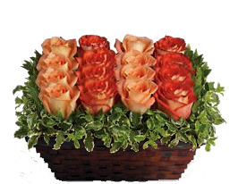 Pequeño jardín (8 rosas)