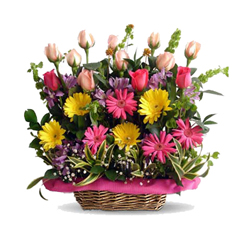 Grandes emociones (24 rosas + 6 Gerbera Daisesus)