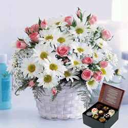 ¡Felicidades! (18 Rosas + Daises + Caja de Chocolatesus)