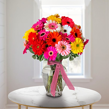 Gerberas SALE! (6 Gerbera Daisies Bouquet)