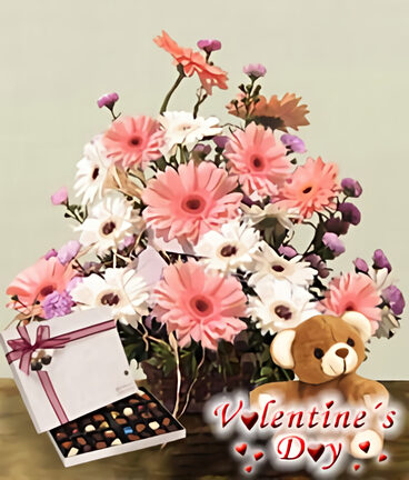 Love is a Feeling (9 Gerbera Daisies + Teddy + Chocolates)