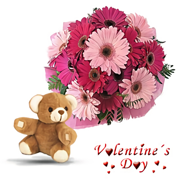 Gerby & Teddy SALE! (12 Gerbera Daisies + Free Teddy)
