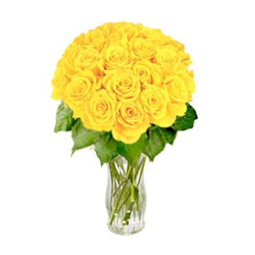 Magnífico amarillo (24 rosas)