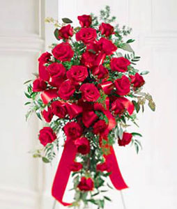 Sympathy Roses (18 Rosas)