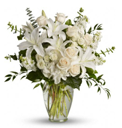 Elegancia blanca (Elegancia blanca con 12 rosas)