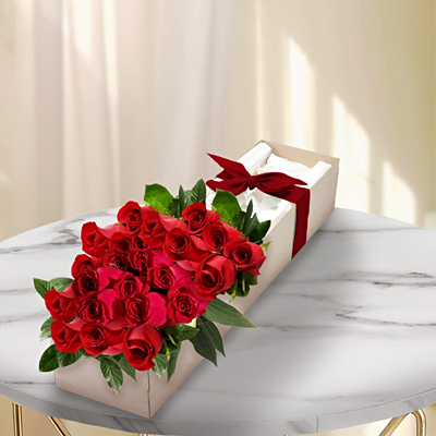 Rosas en caja (12 rosas)