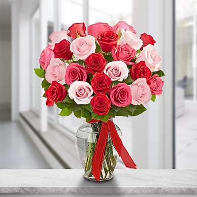 Romantika (24 Roses)