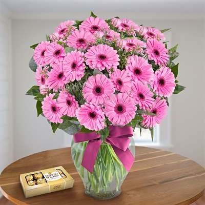 Softness Of Gerbera Daisies (24 Gerberas Daisies + Chocolates Box)
