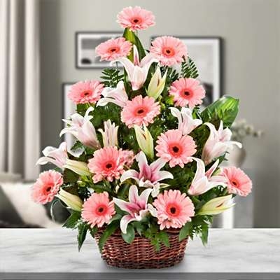 Special Day (12 Gerbera Daisies + 6 Lilies)