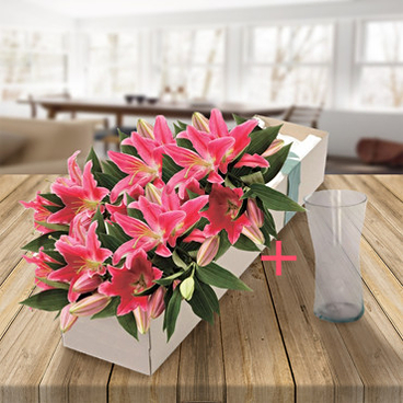Caja de afecto + florero gratis! (3 tallos de lirio)