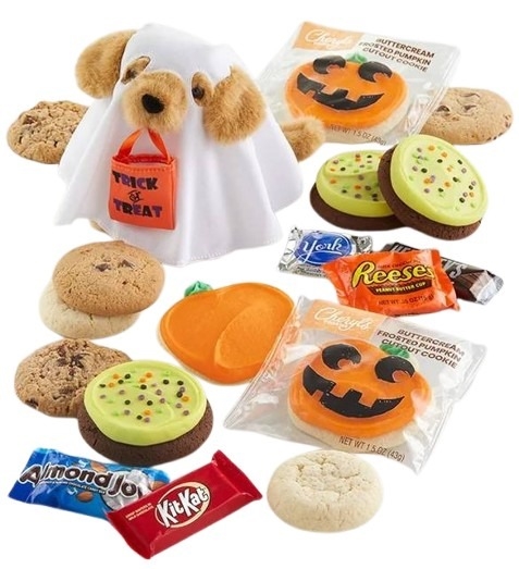 Peluche de cachorro fantasma y galletas