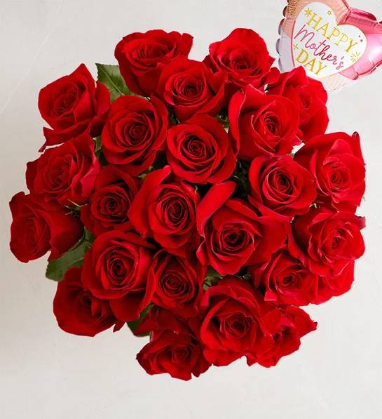 Dos docenas de rosas rojas para el Día de la Madre (solo el ramo)