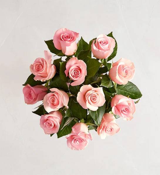 Rosas de pétalos rosados (12 tallos, solo ramo)