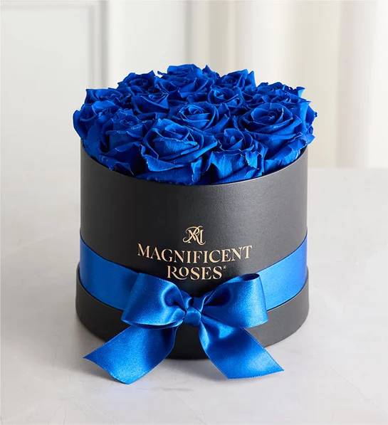 Magníficas Rosas Preservadas de Terciopelo Azul (Magníficas Rosas Clásicas de Terciopelo Azul)