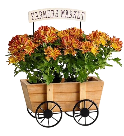 Mamá del mercado de agricultores