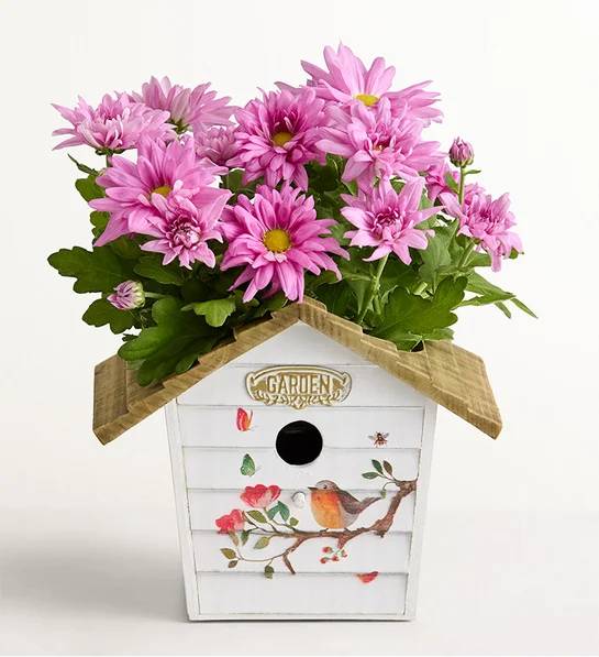 Casa de pájaros de flores (Casa de pájaros de flores)