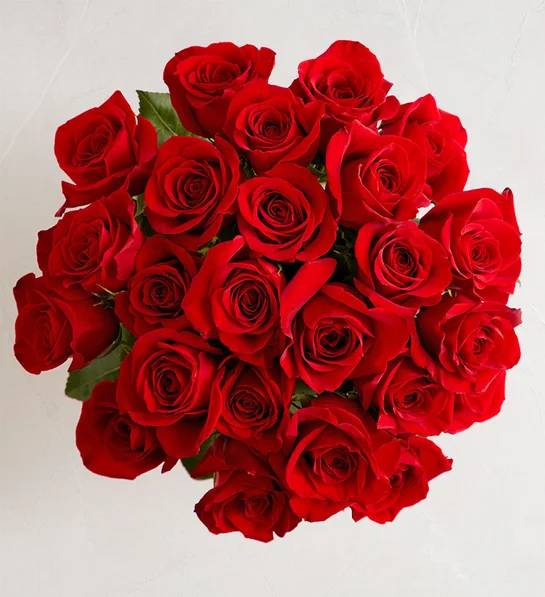 Abrazos y Corazones Rosas Rojas, 24 tallos (solo ramo)