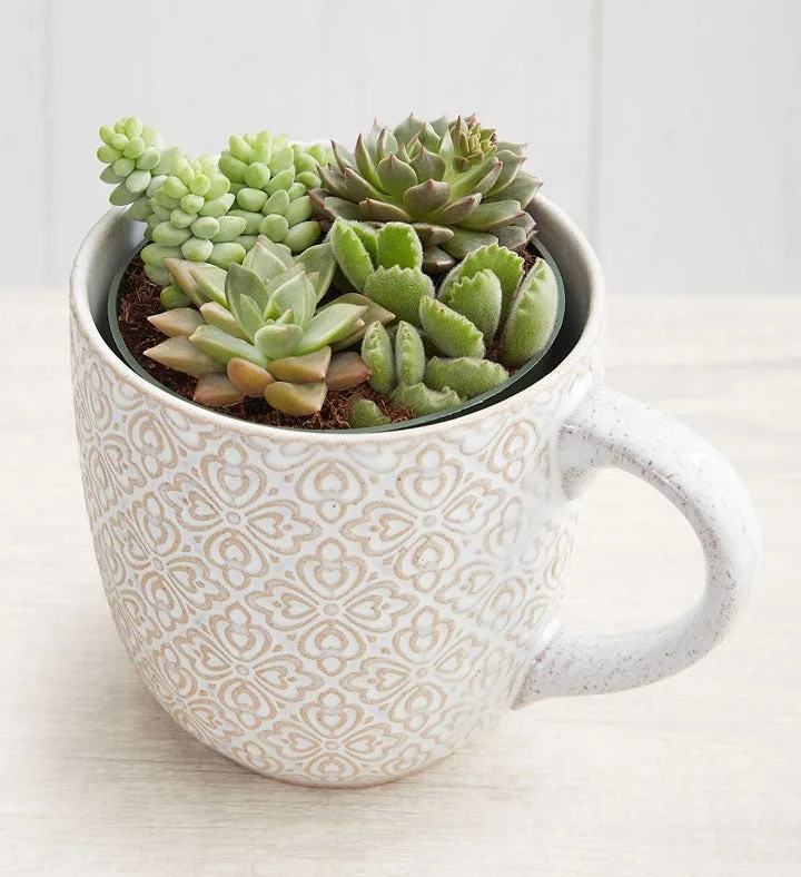 Taza artesanal Jardín de suculentas
