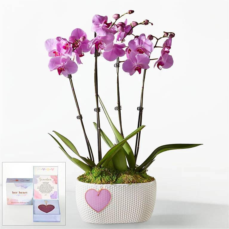 Jardín de orquídeas rosas con recuerdo del corazón de la abuela