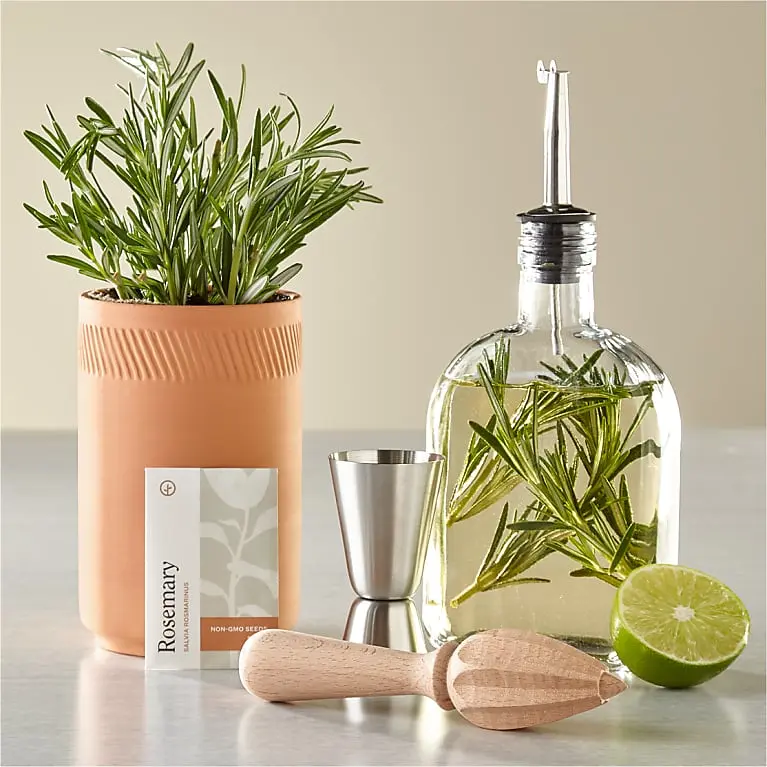 Kit de infusión de cócteles