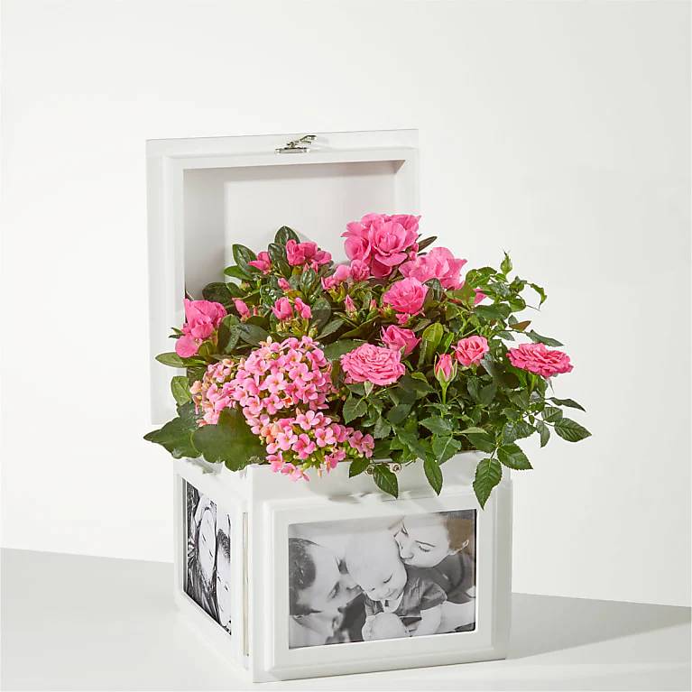 Caja de recuerdos Blush Garden